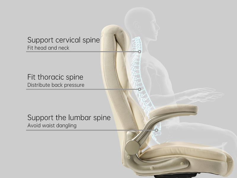 Ergonomic Design Cares For Your Spine