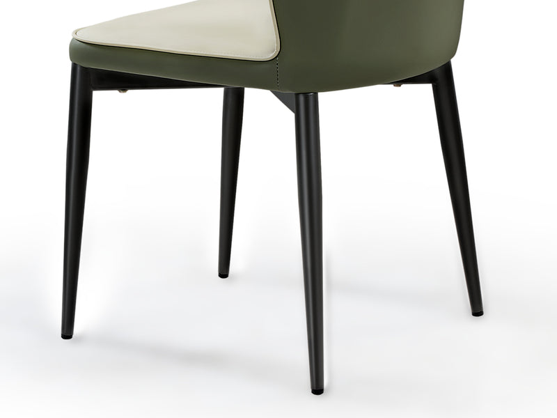 Carbon Steel Frame