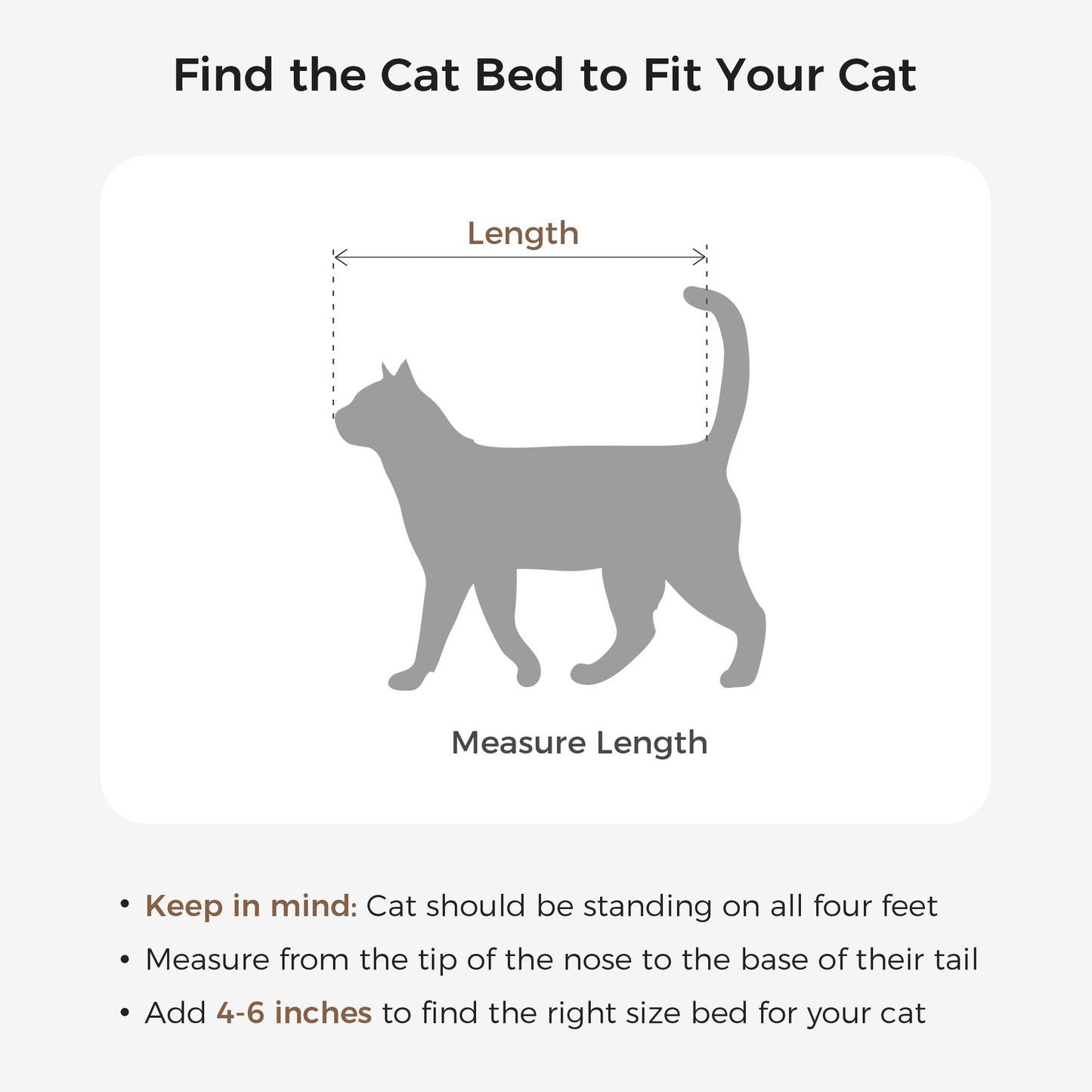 Multi-Functional Cat Bed & Side Table